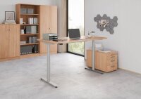 HAMMERBACHER VXDLR12 elektrisch höhenverstellbarer Schreibtisch nussbaum rechteckig, T-Fuß-Gestell silber 120,0 x 80,0 cm
