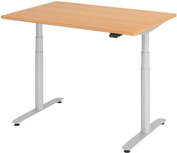 HAMMERBACHER VXDLR12 elektrisch höhenverstellbarer Schreibtisch buche rechteckig, T-Fuß-Gestell silber 120,0 x 80,0 cm