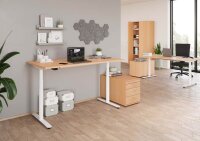 HAMMERBACHER VXDLR12 elektrisch höhenverstellbarer Schreibtisch buche rechteckig, T-Fuß-Gestell weiß 120,0 x 80,0 cm
