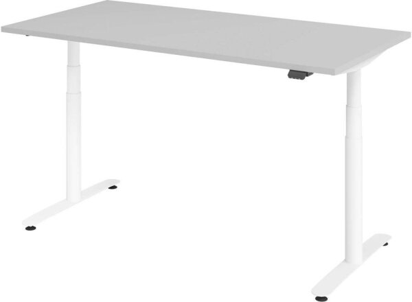 HAMMERBACHER VXDLR16 elektrisch höhenverstellbarer Schreibtisch lichtgrau rechteckig, T-Fuß-Gestell weiß 160,0 x 80,0 cm