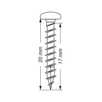 SPAX® Universalschrauben T20 Halbrundkopf WIROX 0201010500205 5 mm x 20 mm, 1.000 St.
