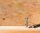 SPAX® Universalschrauben T30 Senkkopf BLANK A2 1197000600503 6 mm x 50 mm, 100 St.