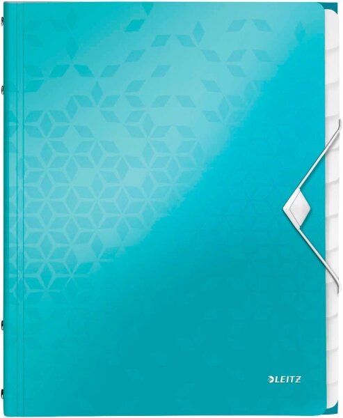 LEITZ Ordnungsmappe WOW 4634 12 Fächer blau, 1 St.
