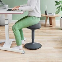 LEITZ Sitz- & Stehhocker Ergo Active 65440089 dunkelgrau, 1 St.