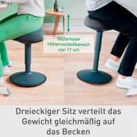 LEITZ Sitz- & Stehhocker Ergo Active 65440089 dunkelgrau, 1 St.