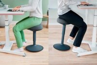 LEITZ Sitz- & Stehhocker Ergo Active 65440089 dunkelgrau, 1 St.