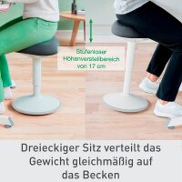 LEITZ Sitz- & Stehhocker Ergo Active 65440085 grau, 1 St.