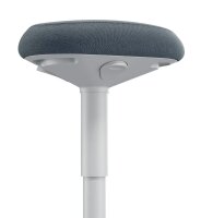 LEITZ Sitz- & Stehhocker Ergo Active 65440085 grau, 1 St.