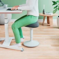 LEITZ Sitz- & Stehhocker Ergo Active 65440085 grau, 1 St.