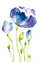 LUMA Grußkarte Blaue Blume LU1734 DIN B6, 1 St.