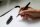 WEDO Ewiger Pointy Forever Business Bleistift H grau/schwarz, 1 St.