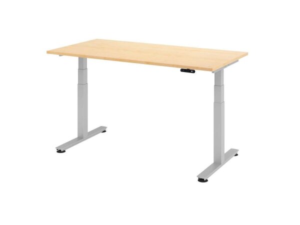 HAMMERBACHER XDSM16 elektrisch höhenverstellbarer Schreibtisch ahorn rechteckig, T-Fuß-Gestell silber 160,0 x 80,0 cm