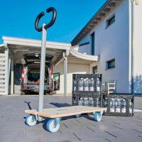 WAGNER® design yourself Transportwagen STAR CARRIER EXTENDABLE MM 1333 birke 37,0 x 74,0 x 14,5 cm bis 200,0 kg