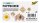 folia NATUR Geschenkboxen-Set braun, 12 St.