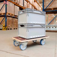 WAGNER® design yourself Transportroller MAXGRIP Power...