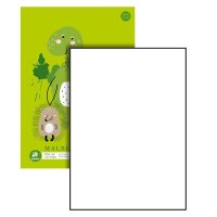 Edition Dürer Malblock DIN A4 70 g/qm, 100 Blatt, 1...