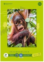 Edition Dürer Zeichenblock green DIN A4 100 g/qm, 18...