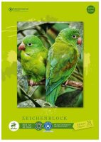 Edition Dürer Zeichenblock green DIN A4 100 g/qm, 18 Blatt, 1 Block