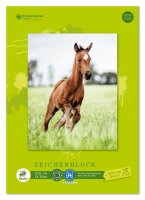 Edition Dürer Zeichenblock green DIN A4 100 g/qm, 18 Blatt, 1 Block