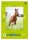 Edition Dürer Zeichenblock green DIN A4 100 g/qm, 18 Blatt, 1 Block