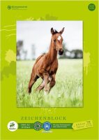 Edition Dürer Zeichenblock green DIN A3 100 g/qm, 18...