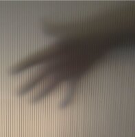 PAPERFLOW Trennwand, transparent 76,0 x 160,0 cm mit Rollen, 2 St.