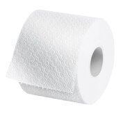Satino Toilettenpapier comfort 2-lagig Recyclingpapier, 64 Rollen  ( 60748 )