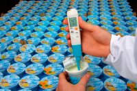 testo 206-pH2 für halbfeste Medien pH- und...