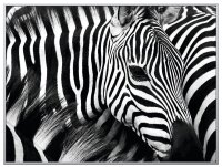 PAPERFLOW Wandbild Zebra, Aluminium, Kunstglas