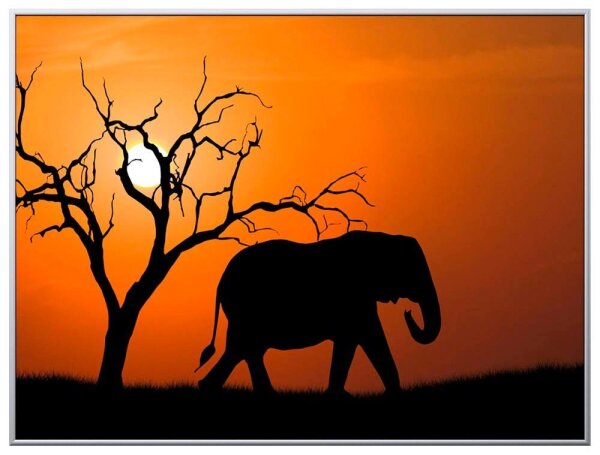 PAPERFLOW Wandbild Elefant, Aluminium, Kunstglas
