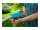 GARDENA THS 42/18V P4A solo Akku-Stabheckenschere 18,0 V, ohne Akku