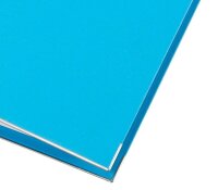 LEITZ 1007 Ordner hellblau Karton 8,0 cm DIN A4, 1 St.