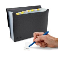 RAPESCO® Fächermappe Germ-Savvy 13 Fächer schwarz, 1 St.