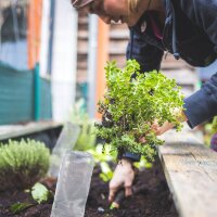 relaxdays Tonkegel für Bewässerung, 4 St.