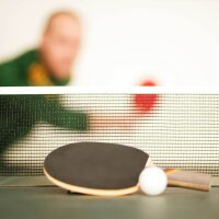 relaxdays Tischtennisnetz grün, 1 St.