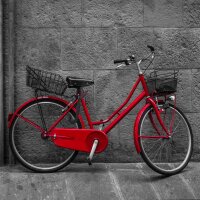relaxdays Fahrradschloss SECURE schwarz 100,0 cm, 1 St.
