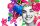 FABER-CASTELL Polychromos & Pitt Graphite Matt Malset farbsortiert, 40 St.