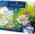 FABER-CASTELL Acryl Bastelfarben-Set farbsortiert, 1 Set