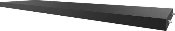 fm Fachboden schwarz 76,2 x 20,5 cm, 1 St.