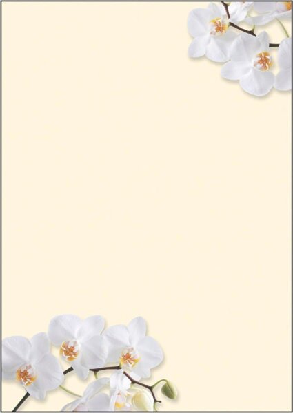SIGEL Motivpapier White Orchid Motiv DIN A4 90 g/qm 50 Blatt