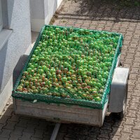 relaxdays Anhängernetz 2,0 x 3,0 m grün