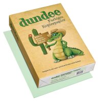dundee Kopierpapier Color hellgrün DIN A4 80 g/qm...