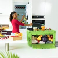 relaxdays Klappbox 60,0 l grün 58,5 x 39,5 x 32,5 cm, 1 St.