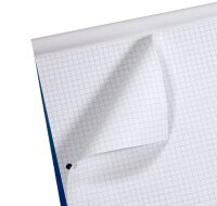 Staufen® Briefblöcke Style 2-fach-Lochung DIN A4 kariert, 1 St.