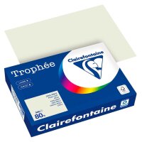 Clairefontaine Kopierpapier Trophée grau DIN A4 80...