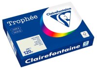 Clairefontaine Kopierpapier Trophée grau DIN A4...