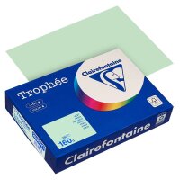 Clairefontaine Kopierpapier Trophée hellgrün...