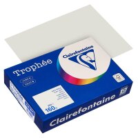 Clairefontaine Kopierpapier Trophée grau DIN A4...