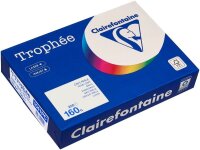 Clairefontaine Kopierpapier Trophée grau DIN A4 160 g/qm 250 Blatt
