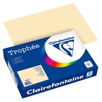 Clairefontaine Kopierpapier Trophée chamois DIN A4...